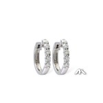 Allison Kaufman Earrings