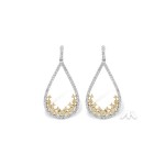 Allison Kaufman Earrings